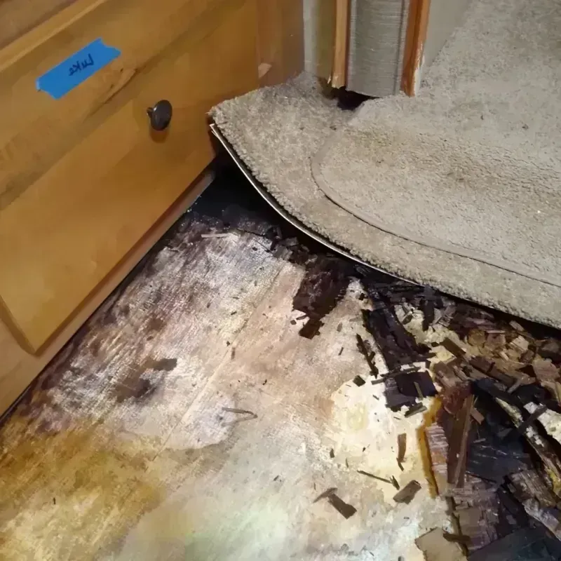 Wood Floor Water Damage in Clay, AL